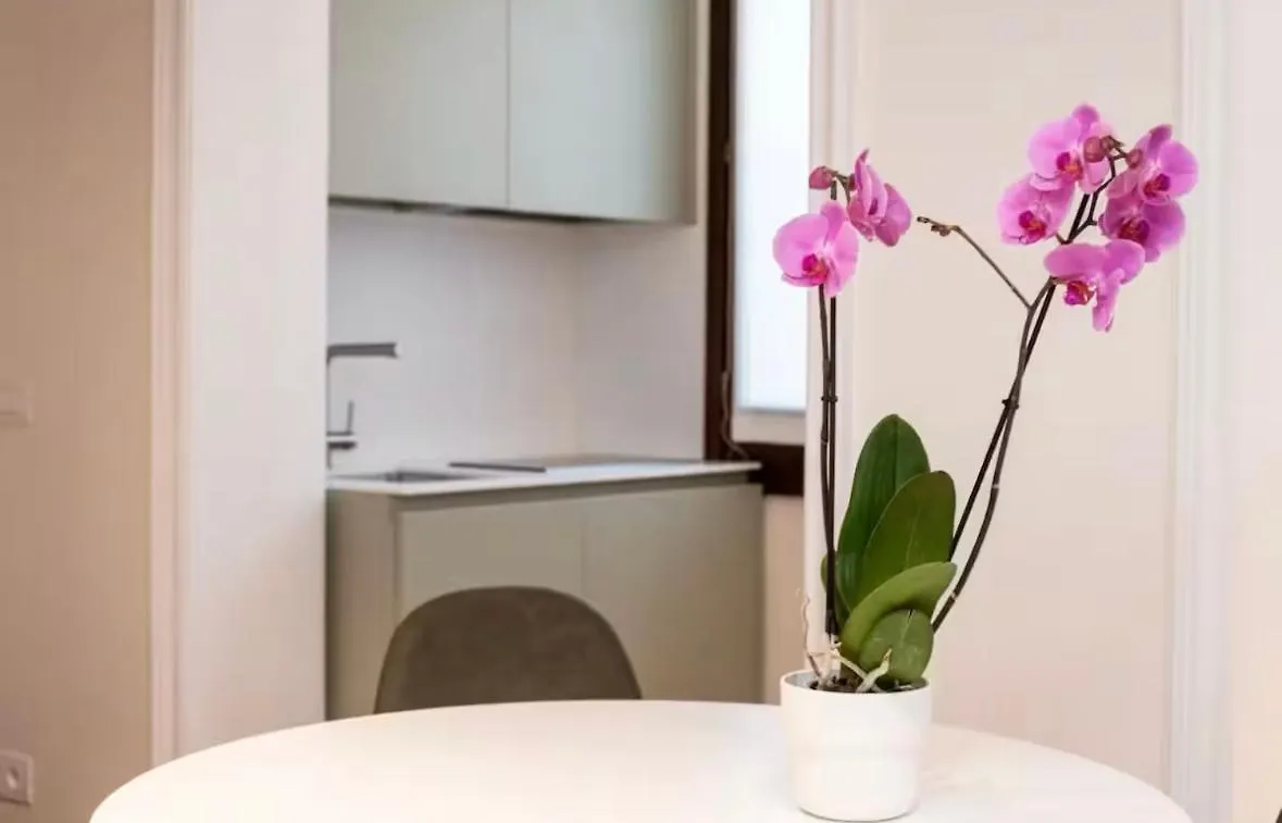 Appartamenti Cannaregio Venise Appartement
